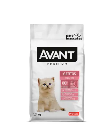 Avant Avant Premium Gatitos 1.7 kg Alimento Gato en ParaMascotasEC